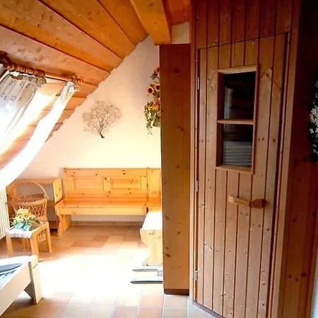 公寓 C2 Ferienwohnung Im Schwarzwald 30m Ferienwohnungapp Fuer Max 2 Personen Menzenschwand-Hinterdorf