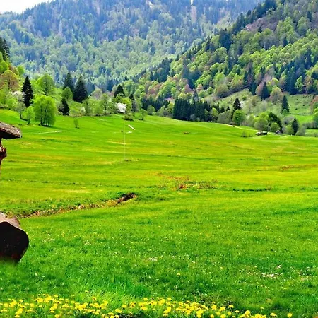 C2 Ferienwohnung Im Schwarzwald 30m Ferienwohnungapp Fuer Max 2 Personen 公寓