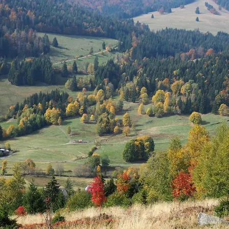 C2 Ferienwohnung Im Schwarzwald 30m Ferienwohnungapp Fuer Max 2 Personen 公寓 *