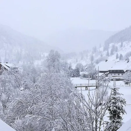 公寓 C2 Ferienwohnung Im Schwarzwald 30m Ferienwohnungapp Fuer Max 2 Personen *