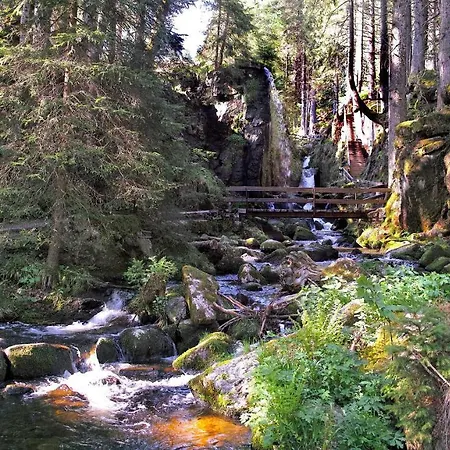 公寓 C2 Ferienwohnung Im Schwarzwald 30m Ferienwohnungapp Fuer Max 2 Personen Menzenschwand-Hinterdorf