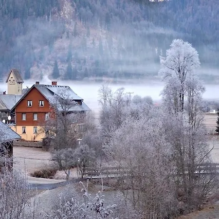 C2 Ferienwohnung Im Schwarzwald 30m Ferienwohnungapp Fuer Max 2 Personen 公寓 Menzenschwand-Hinterdorf